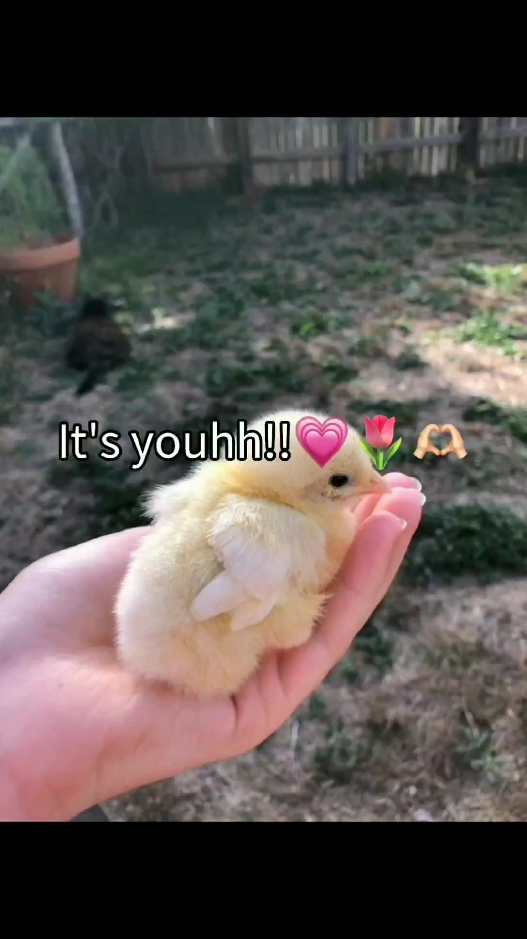@𓆩𝑻𝒉ع✘𝙁𝙖𝙝𝙖𝙙&hellip;