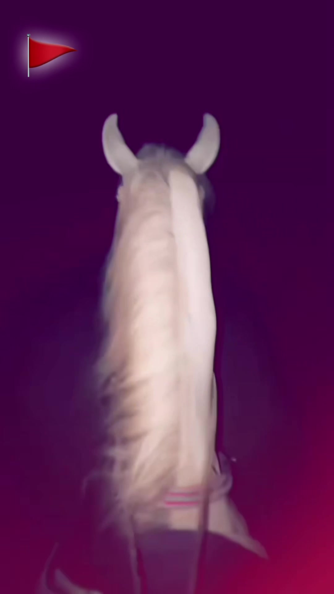 @♛ 𝙈𝙚𝙍𝙧i ♛