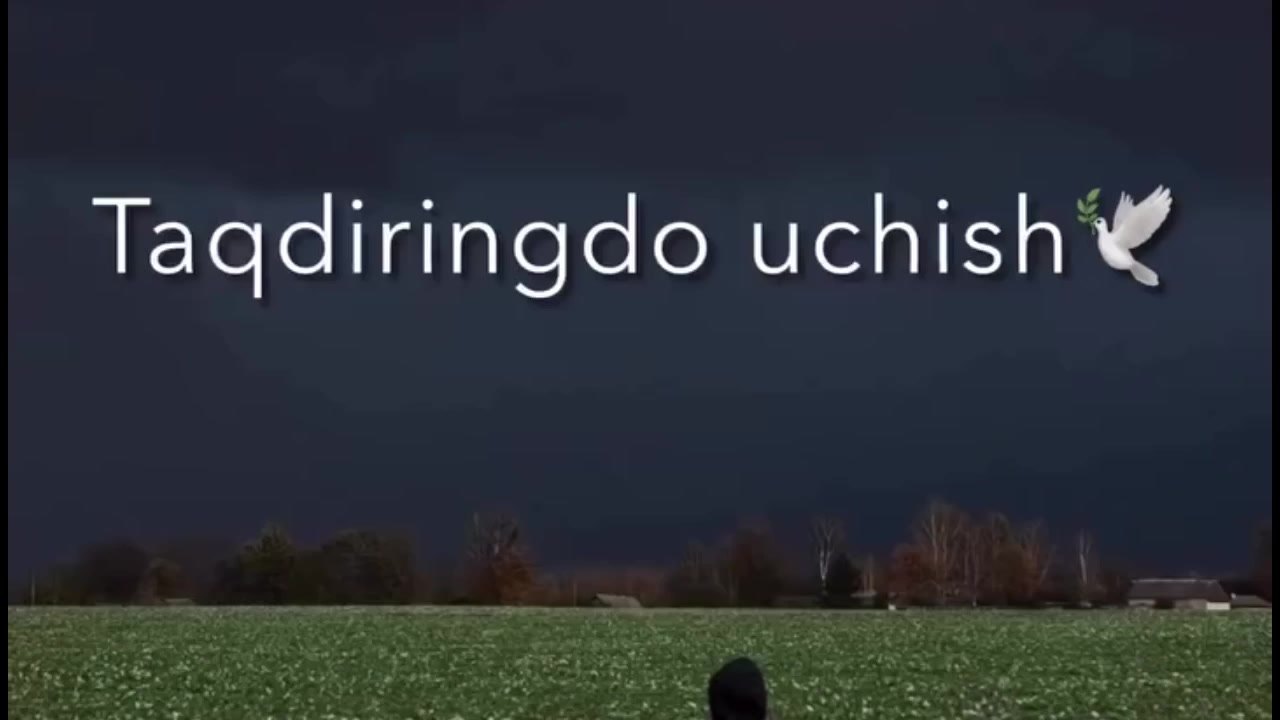 @music_videos222