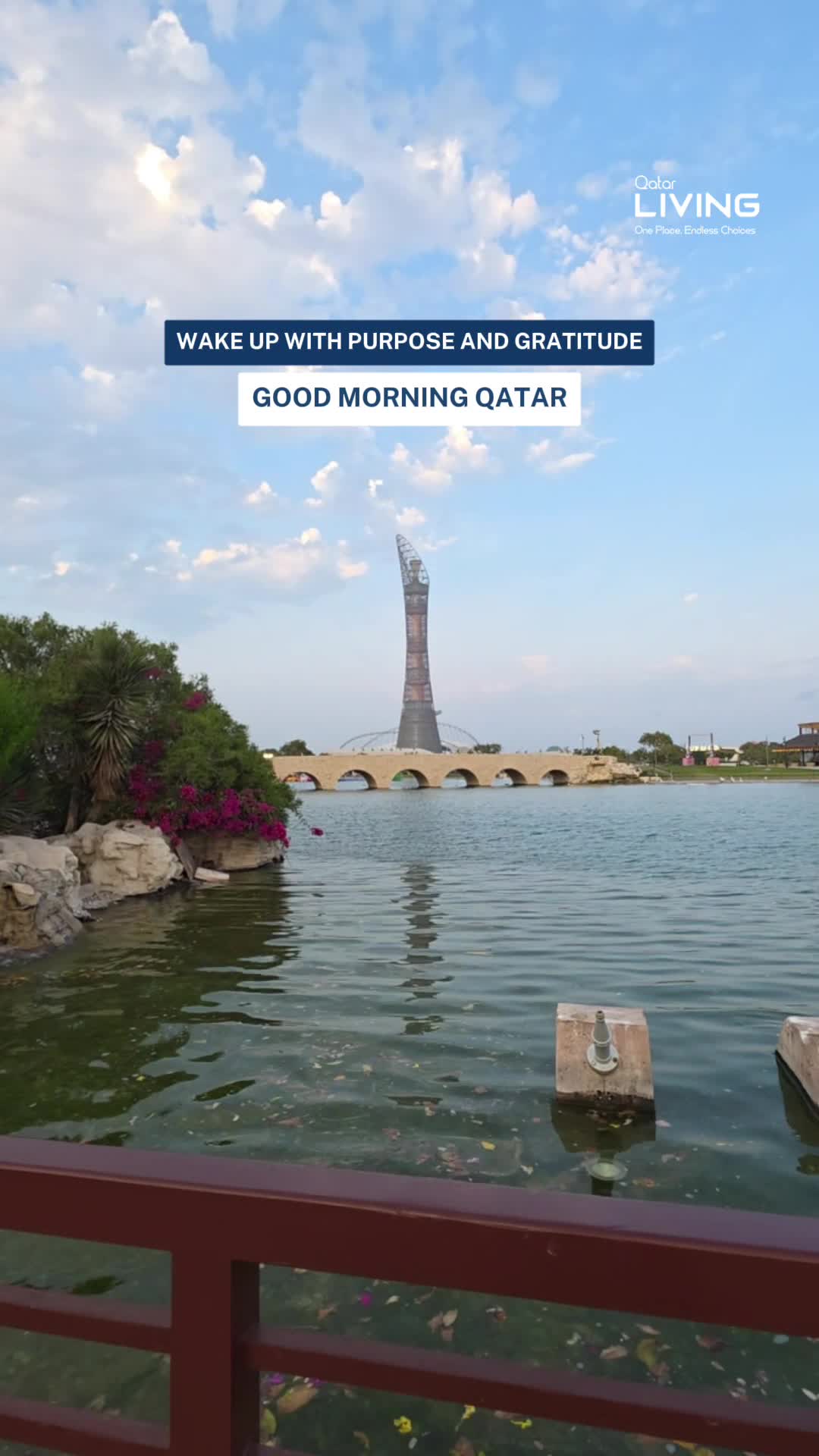 @Qatar Living