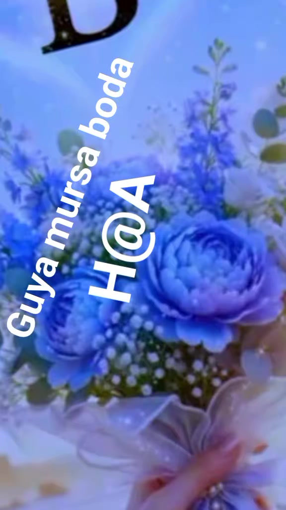 @Sabontuu Arsii