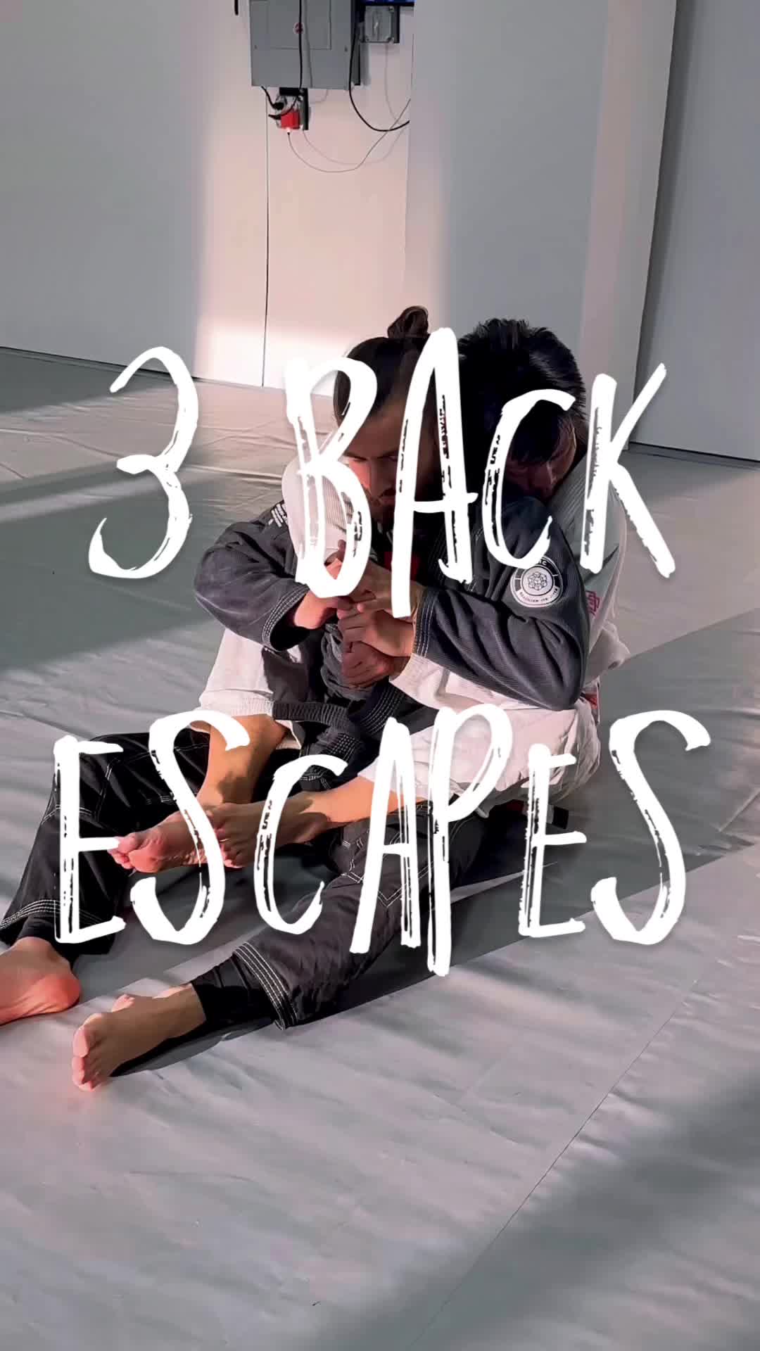 @Benceps BJJ