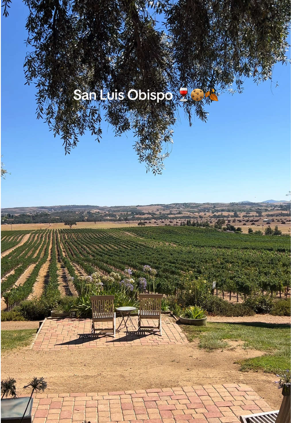 @Alma | LA & California Recs