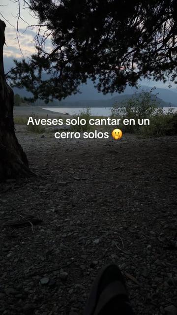 @Miguel