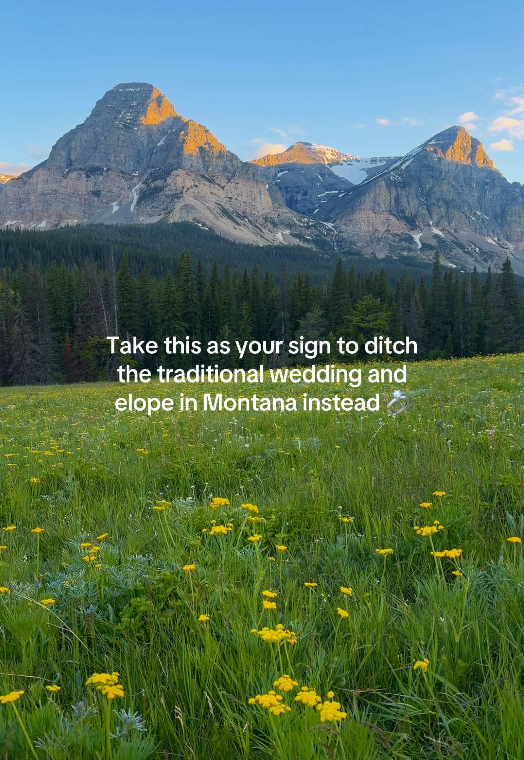 @Elopement Photographer
