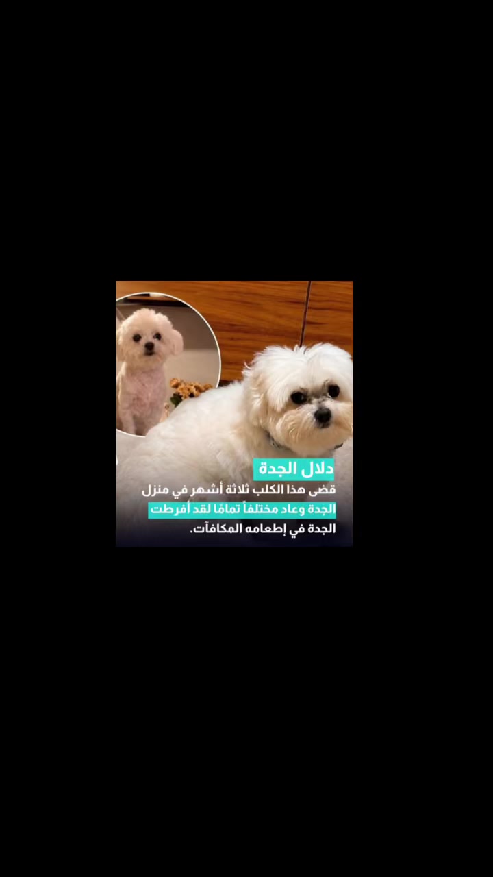 @Doaa