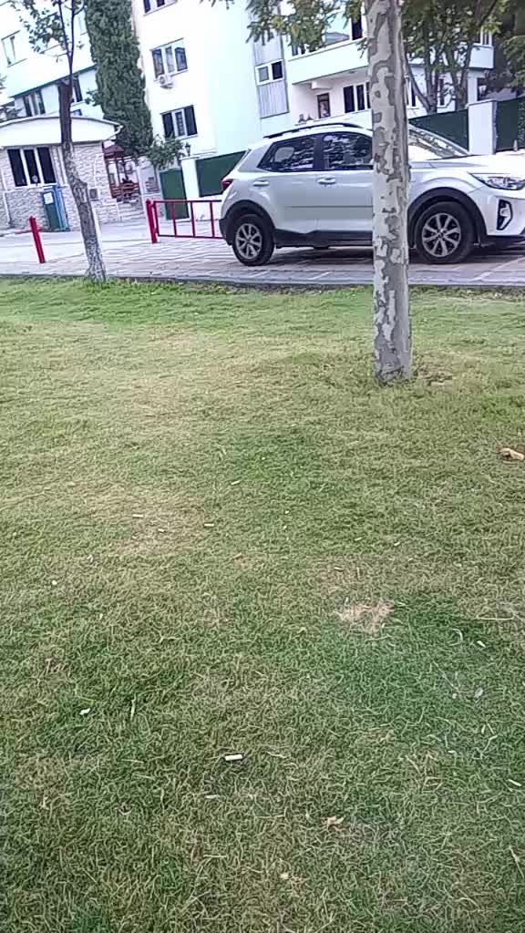 @Asya uzaktaki oglum ve oktayim