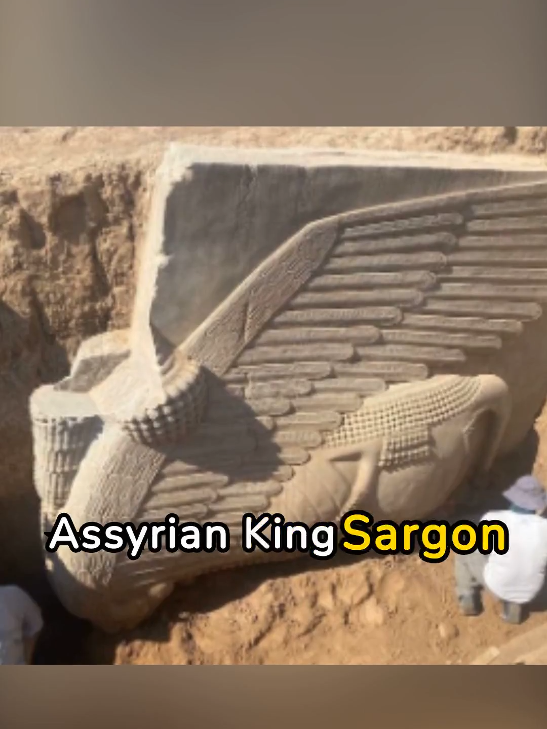 @archaeodiscoveries