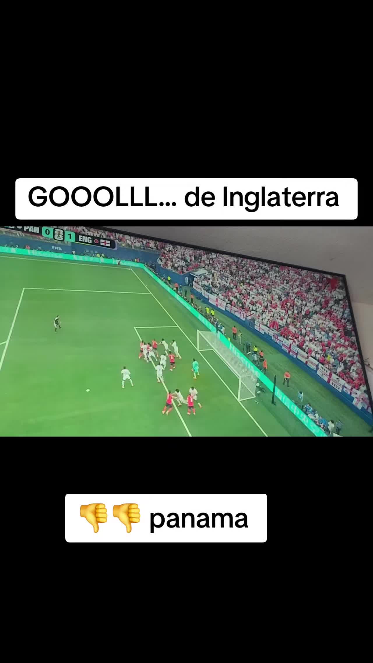 @G .. maldonado