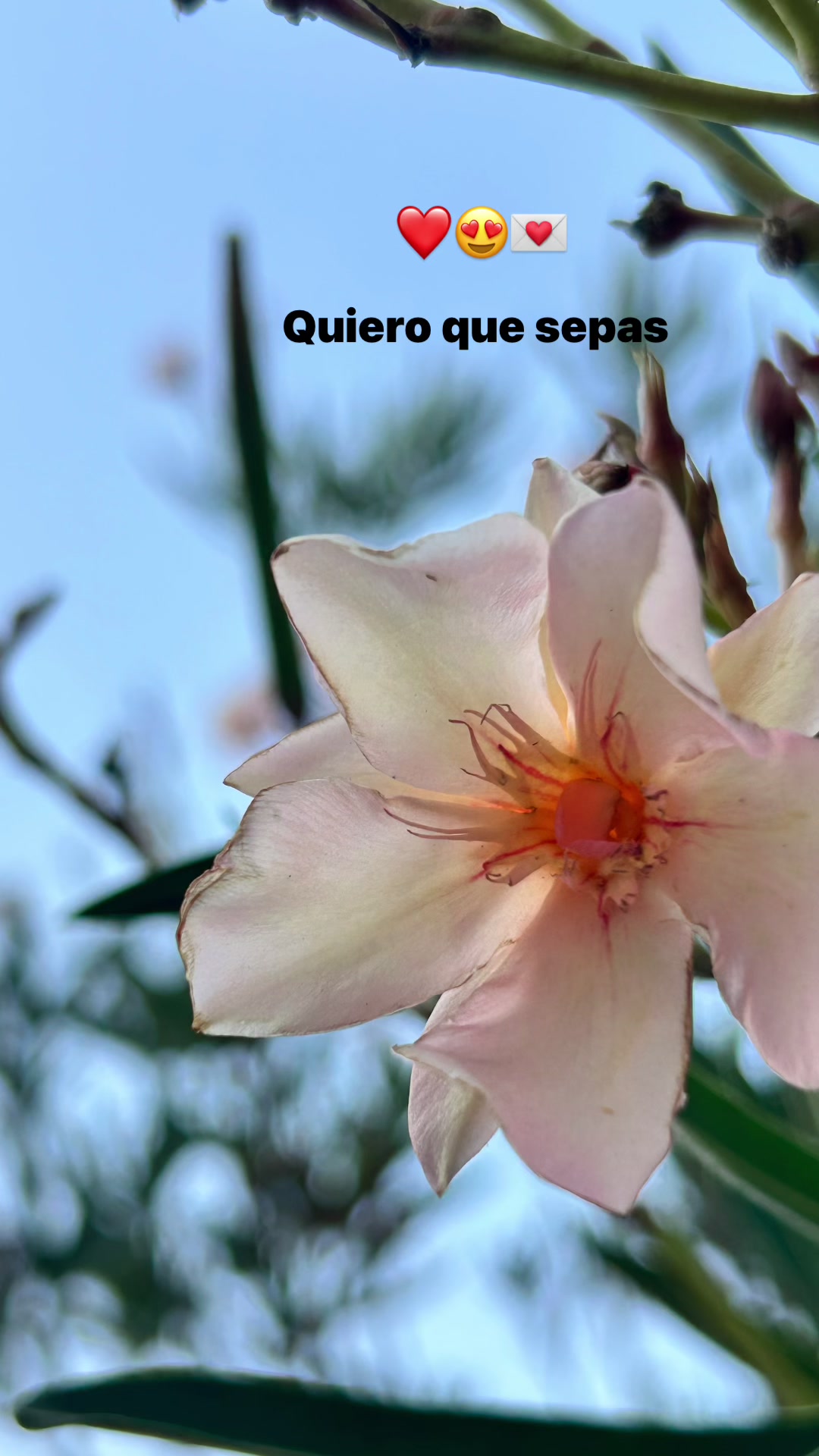 @lcia_65