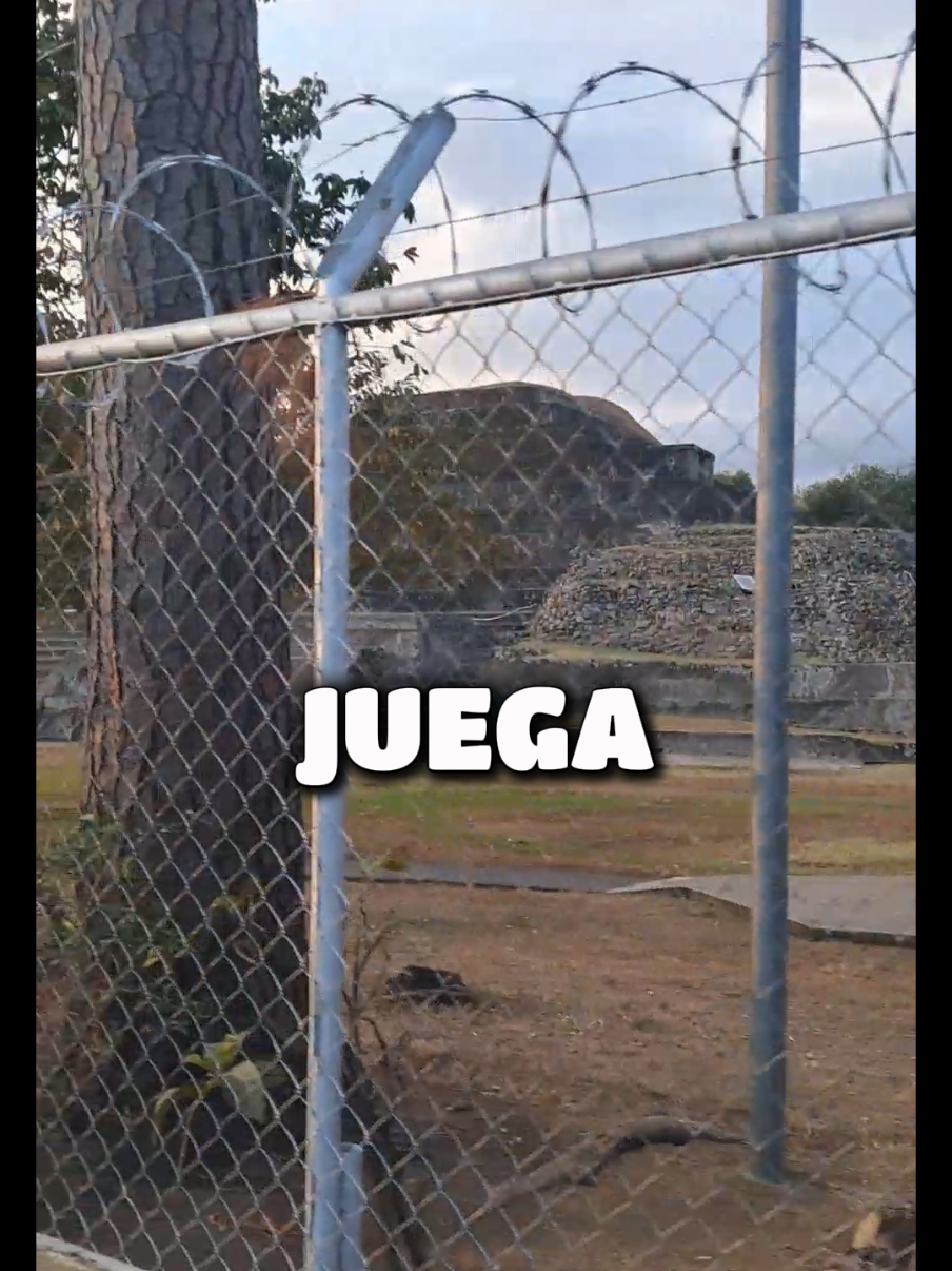 @James Luna