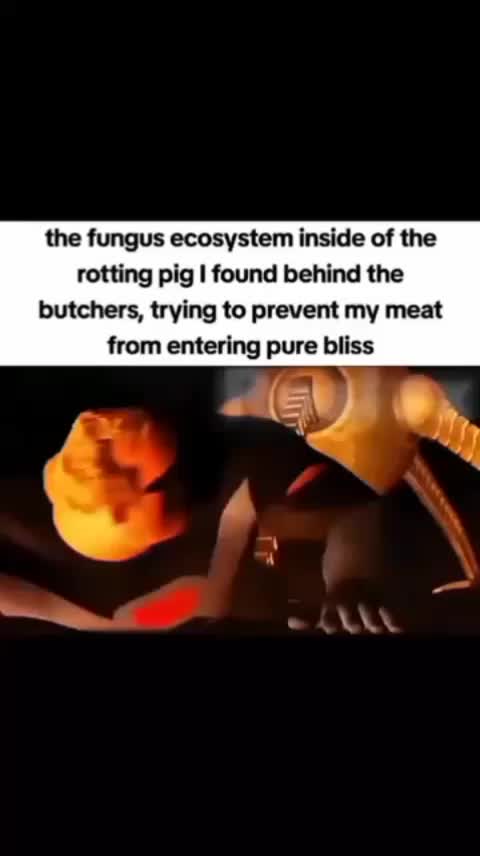 @Niko Bellic