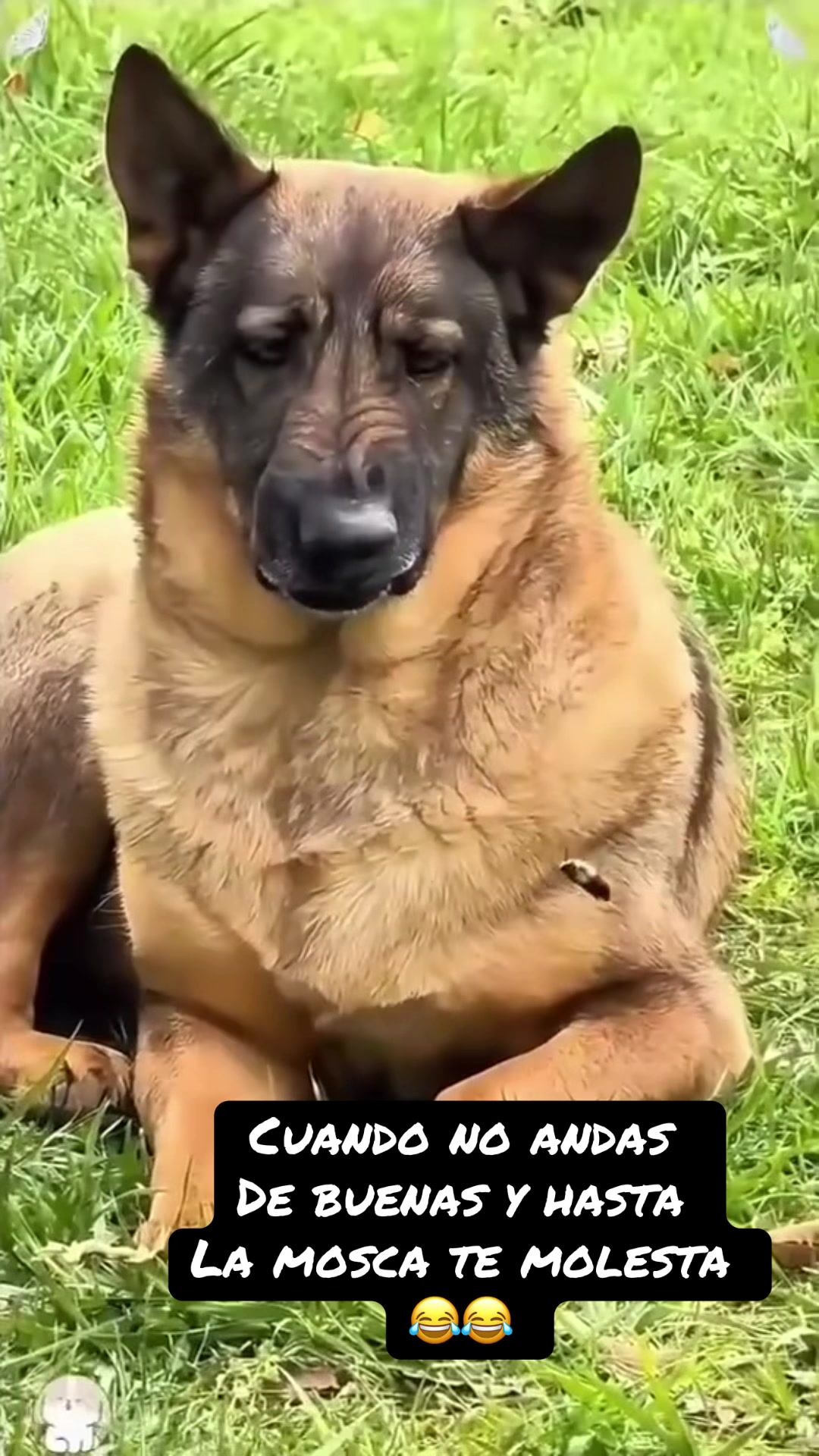 @ANA🌸