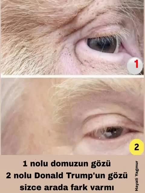 @Hayati Yağmur