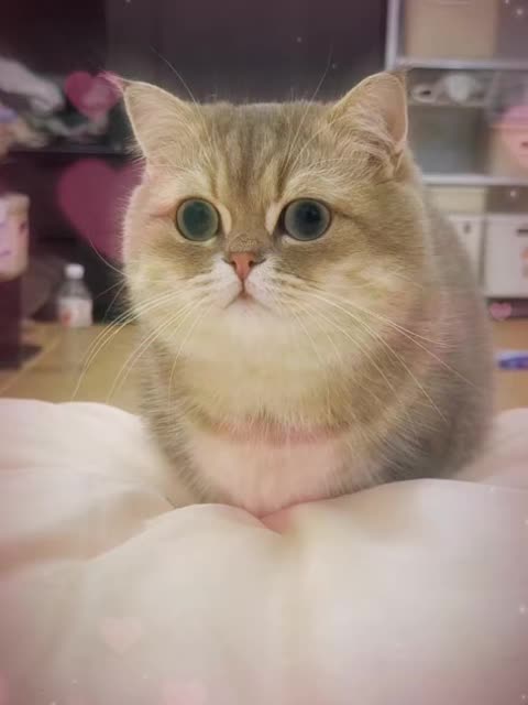 @VyyPilgrim72