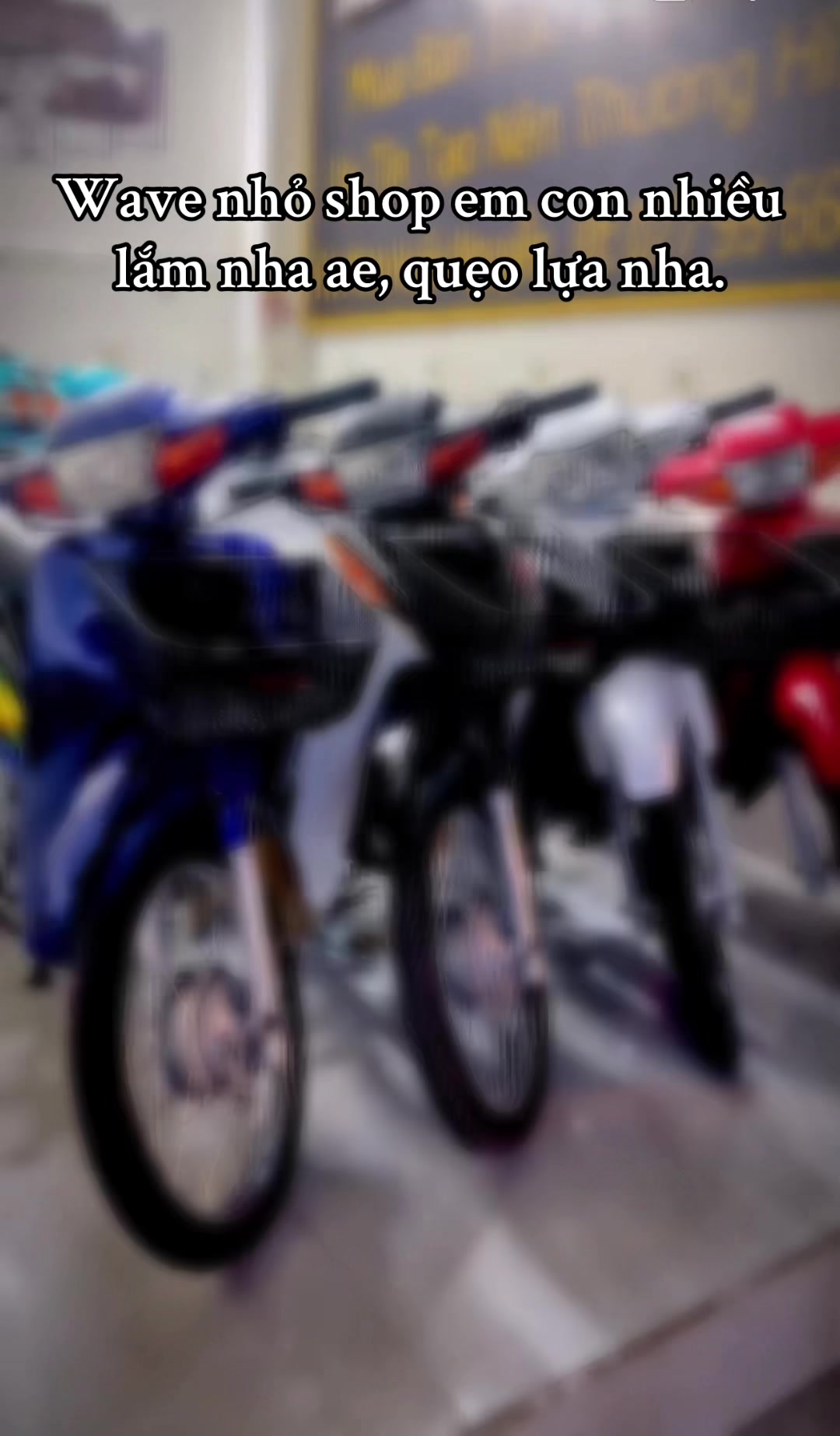 @Minh Huấn Shop ✅
