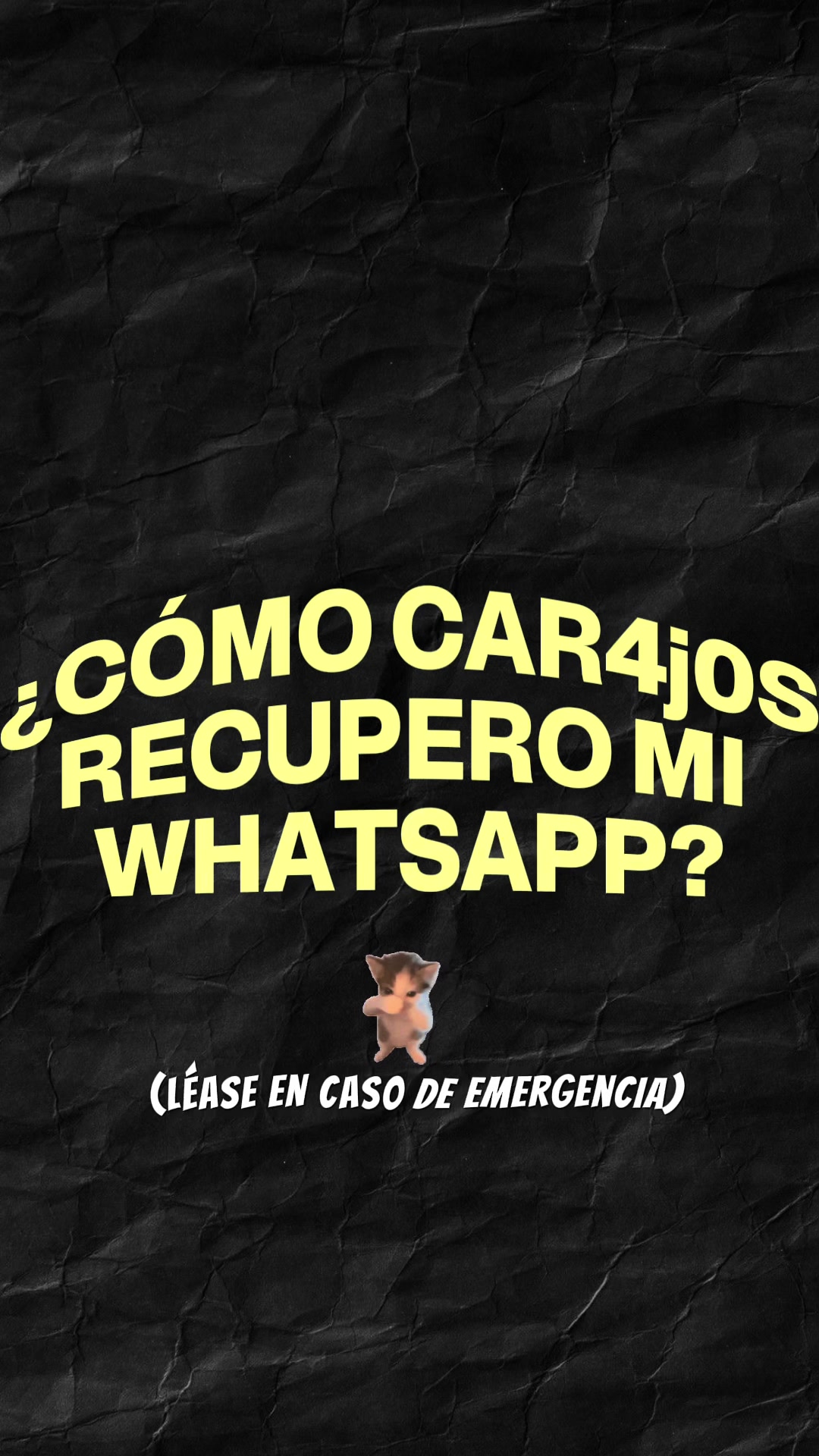 @Secretaría de Seguridad y Paz