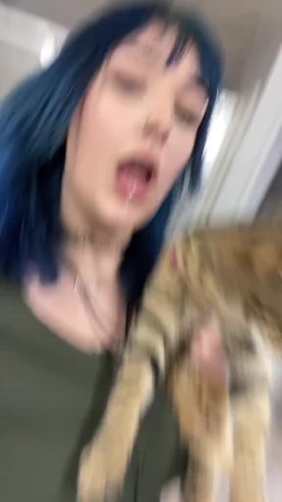 @spooka