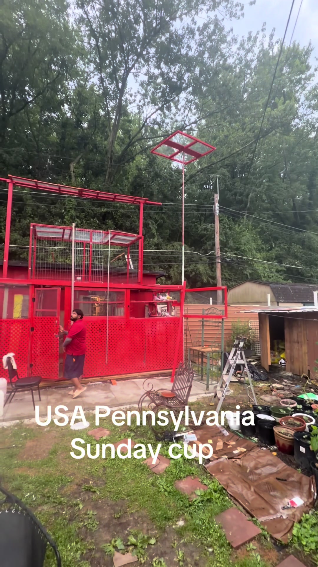 @USA 🇺🇸 Pakistani pigeon club