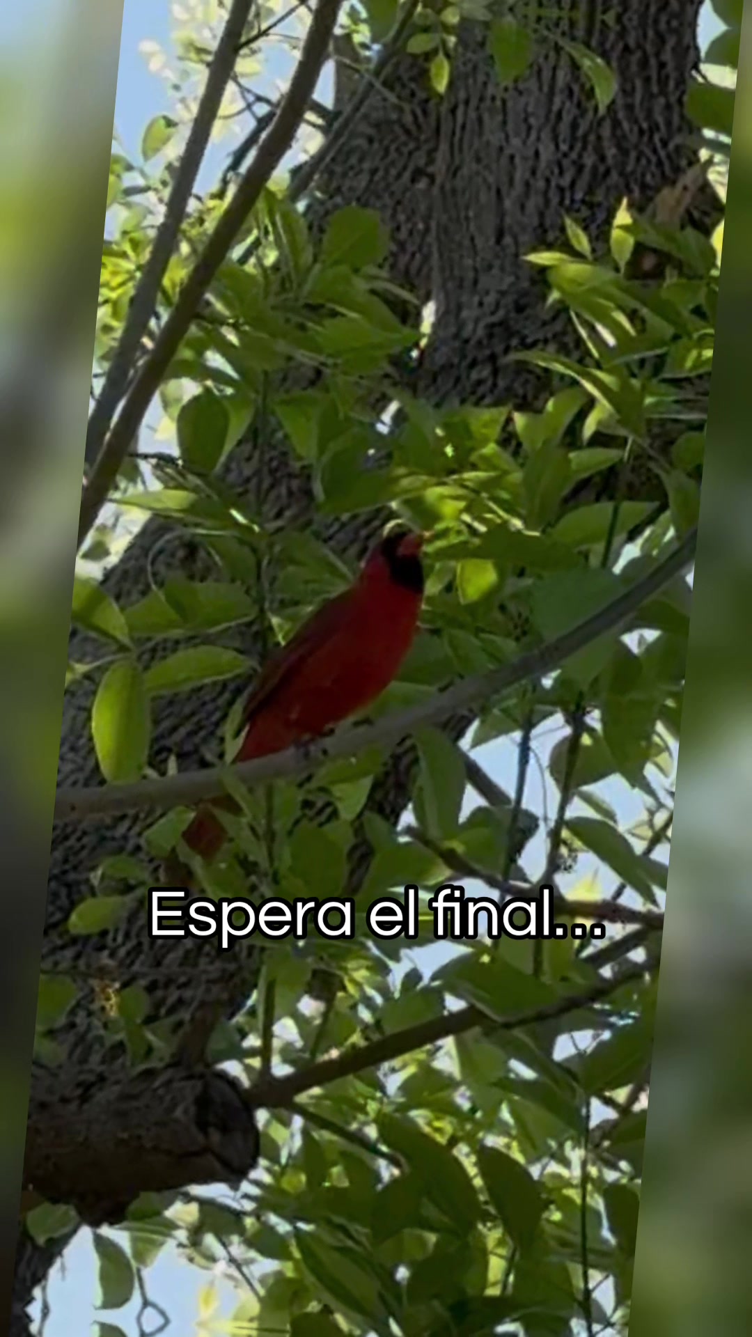 @Mireya Hernandez 🇲🇽