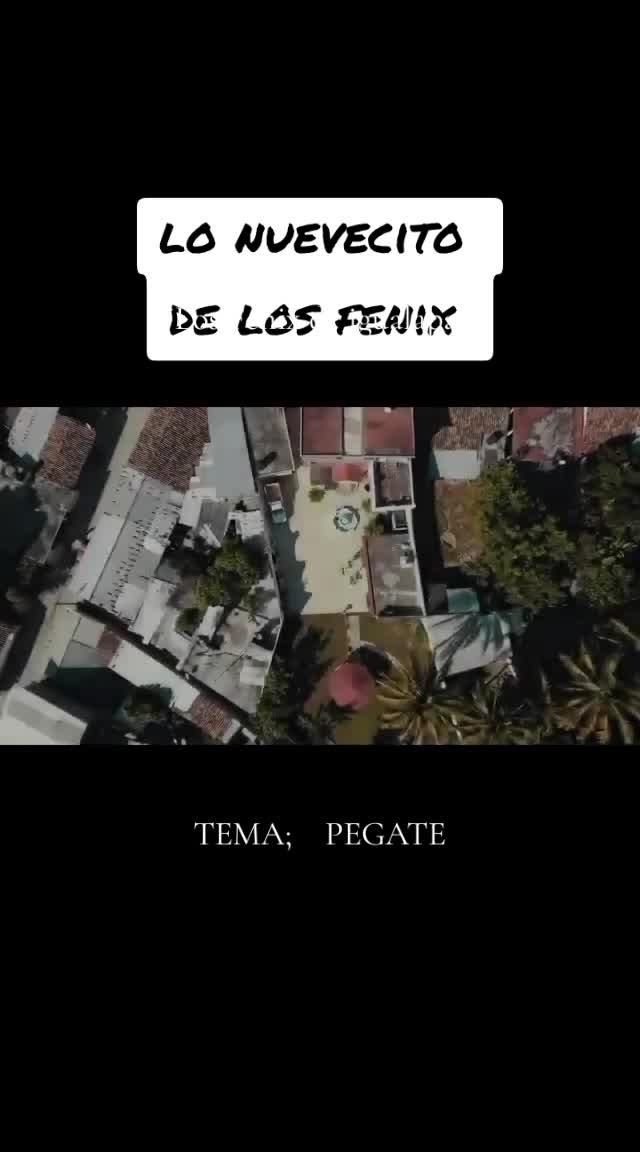 @LOS FENIX DE IGUALAPA
