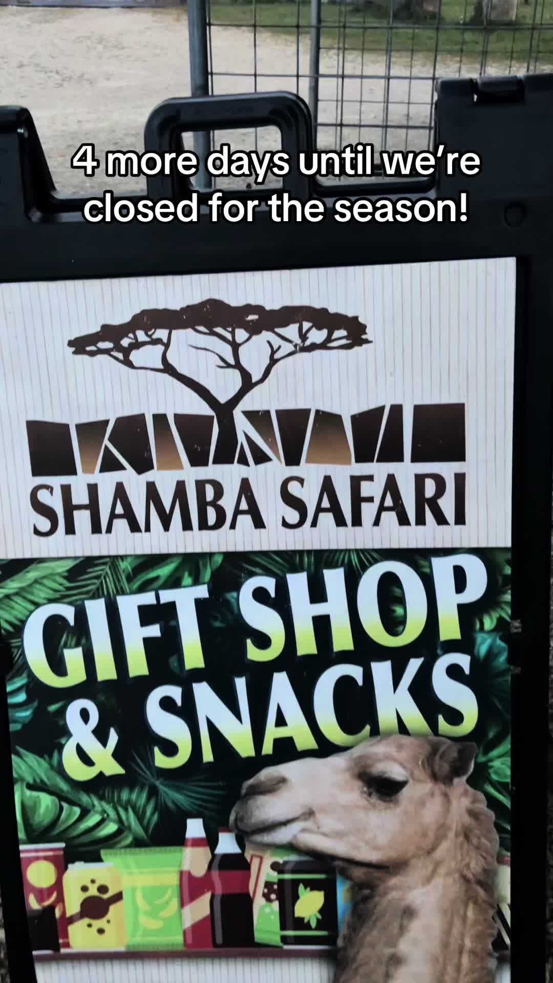 @Shamba Safari