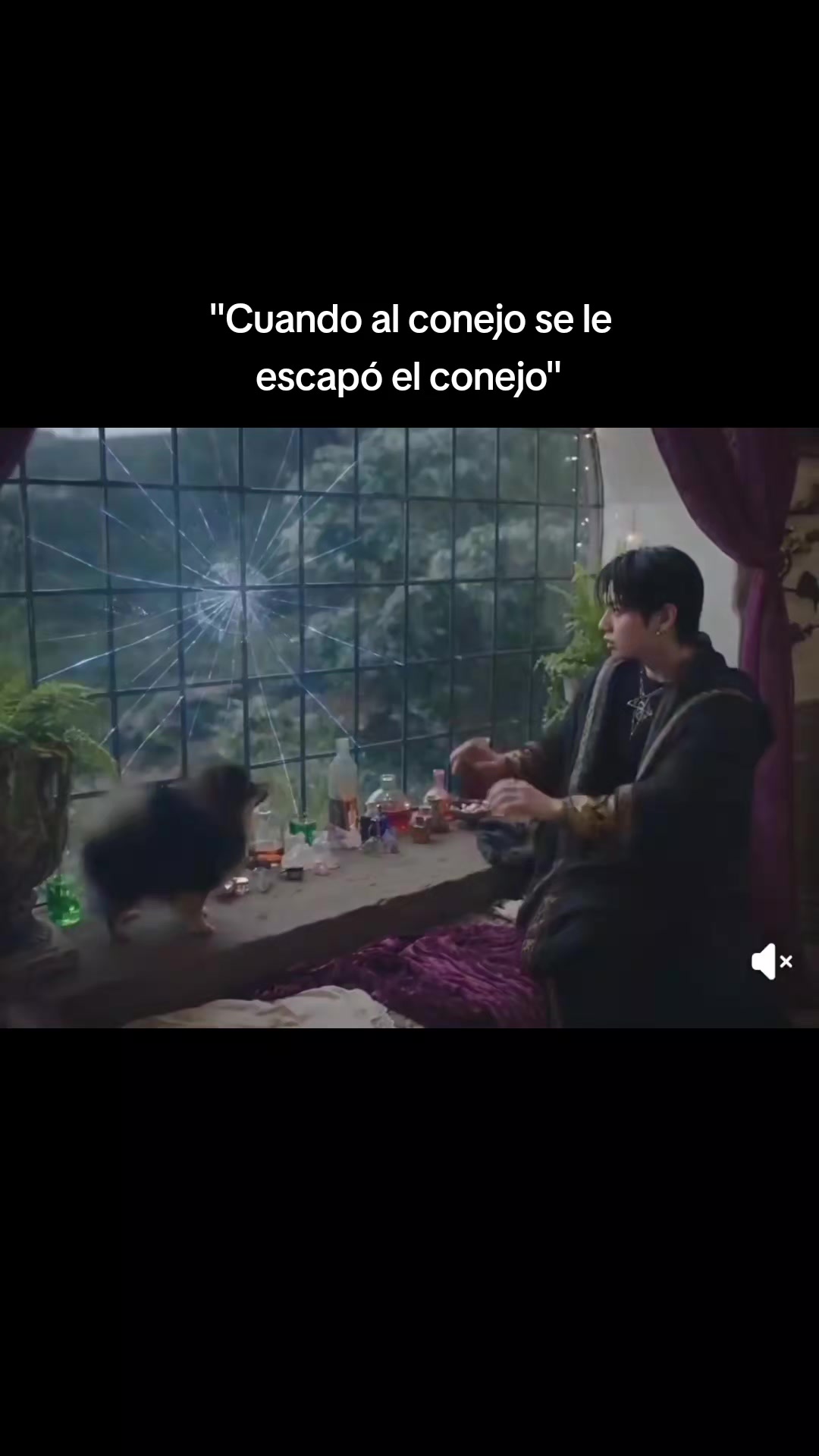 @Luciana♡