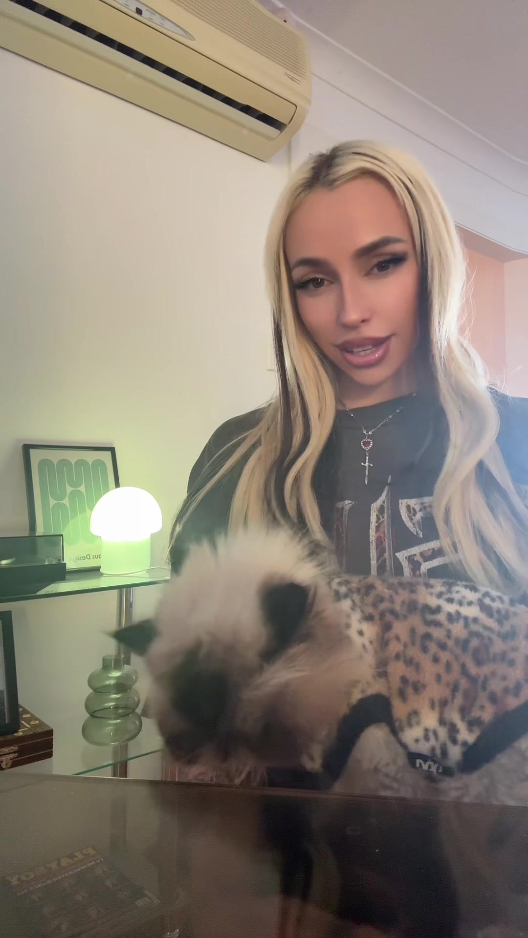 @coconuticedmatchha