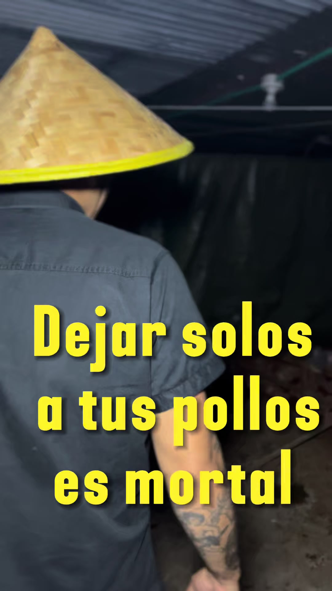 @elmagnatedelospollos