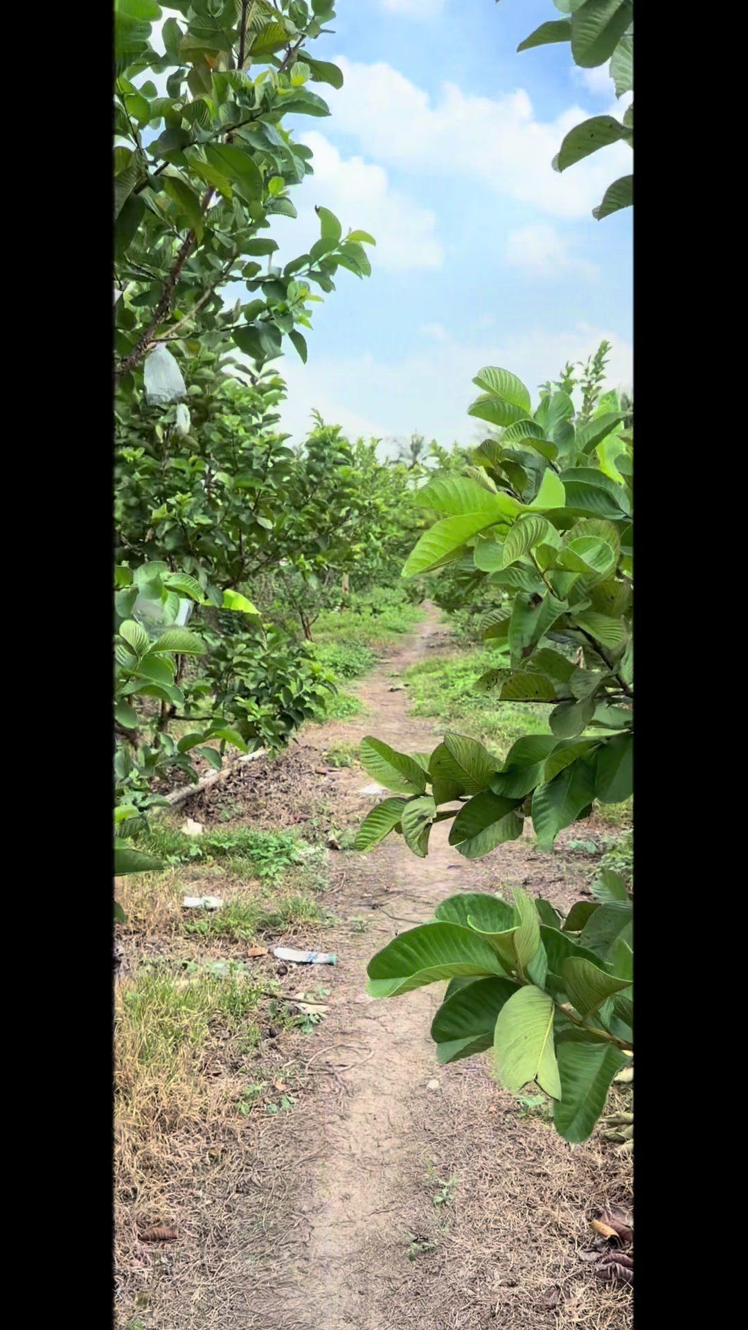 @HỚT TÓC NAM THẢO NGUYÊN Q4