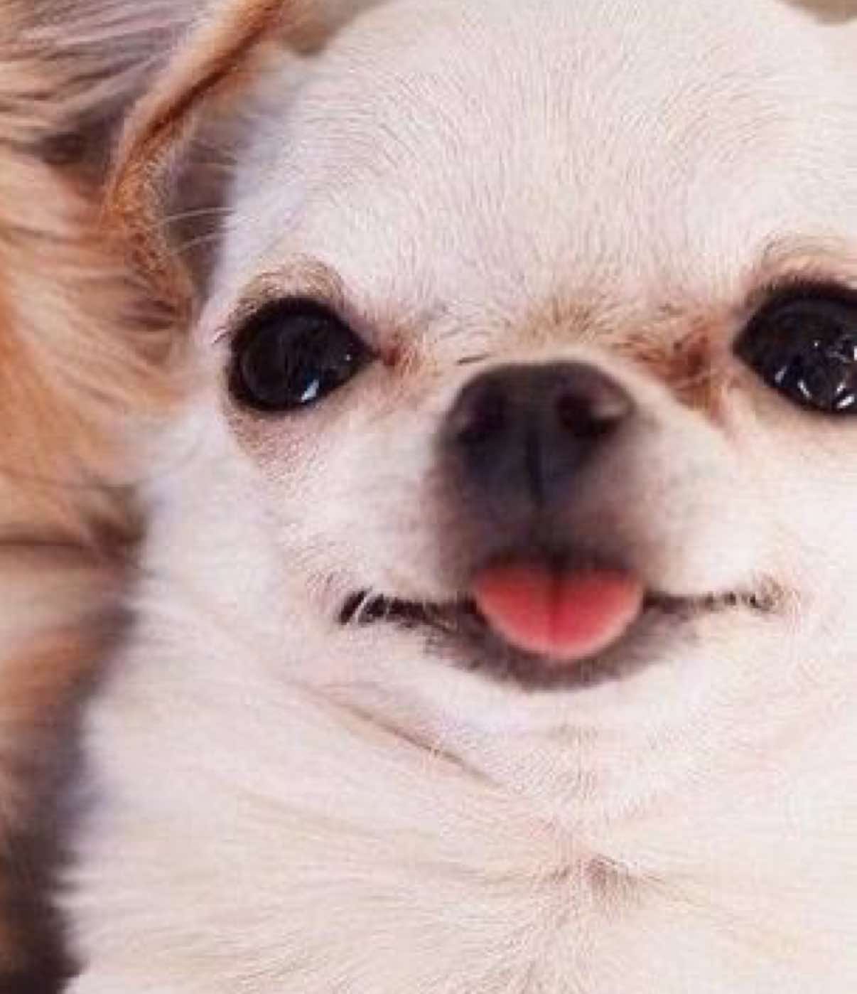@cottagecat28