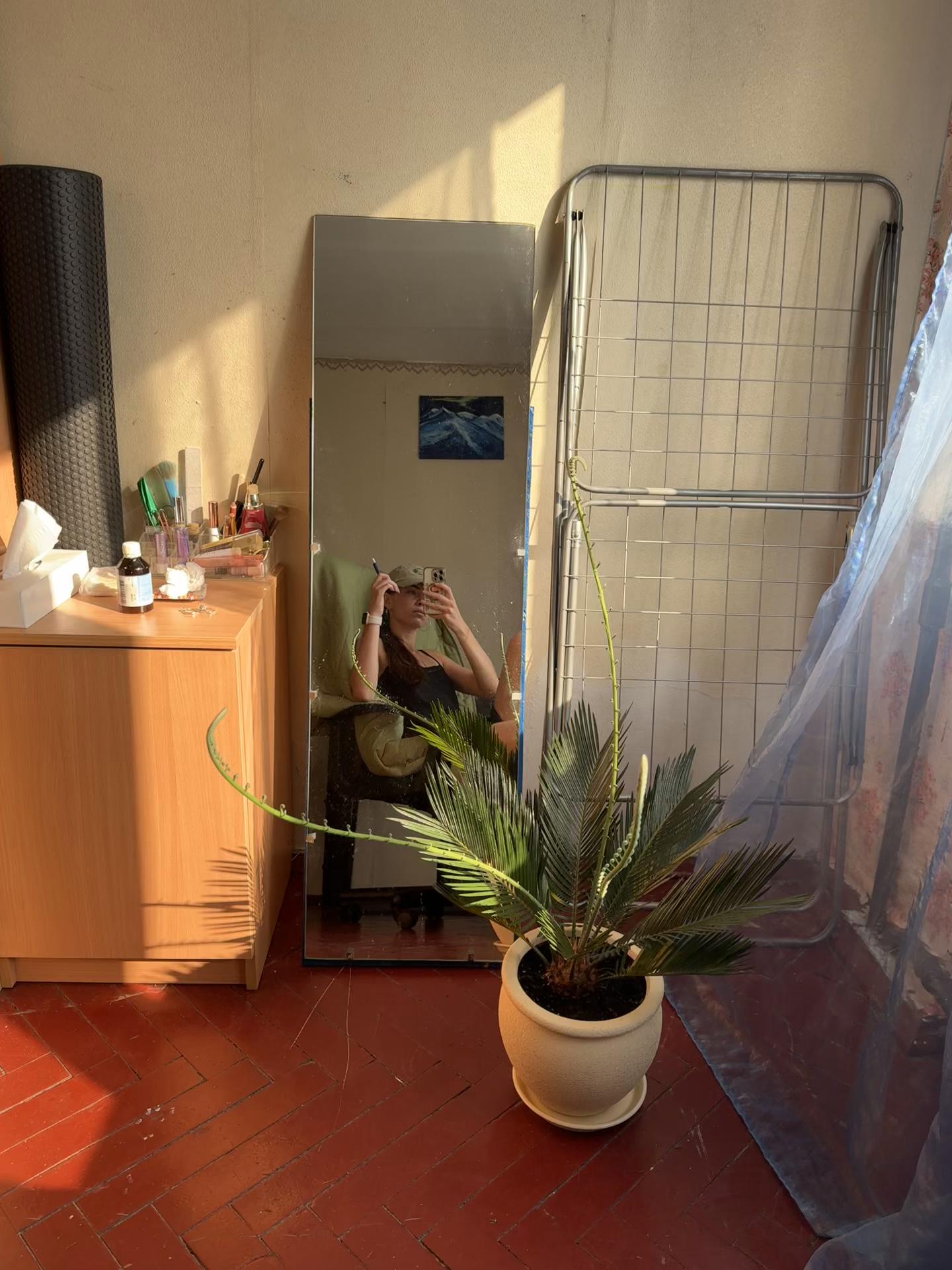 @TRPLDH