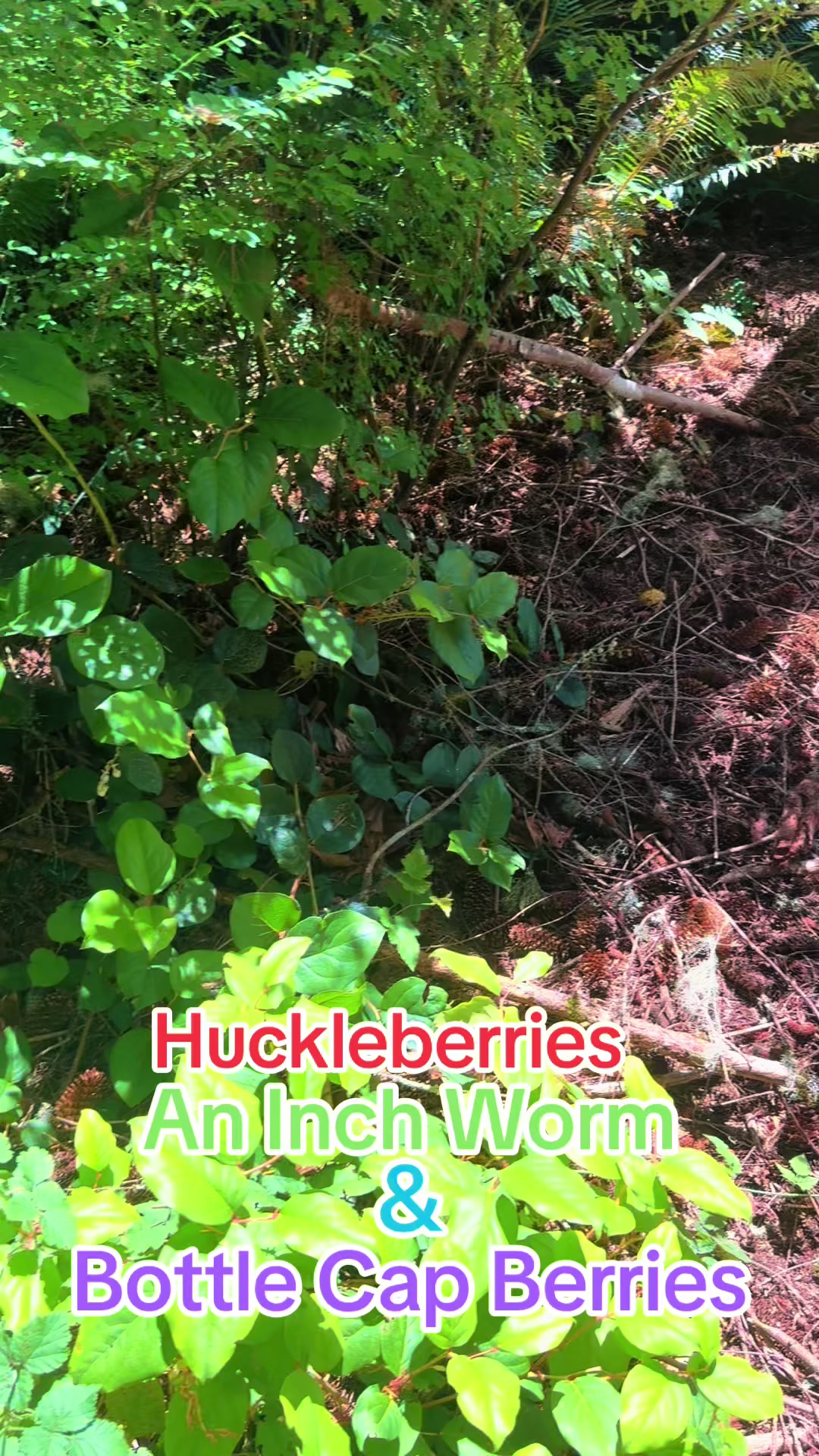 @Vancouver Island BC Canada