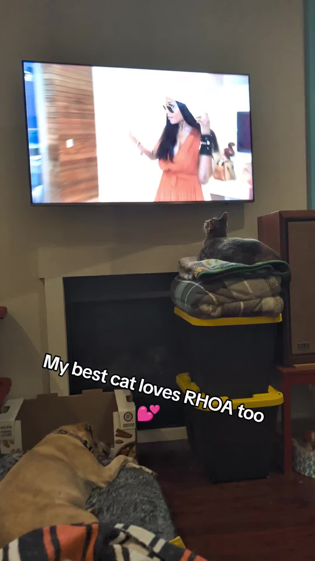@BuffyTheKittenSpayer