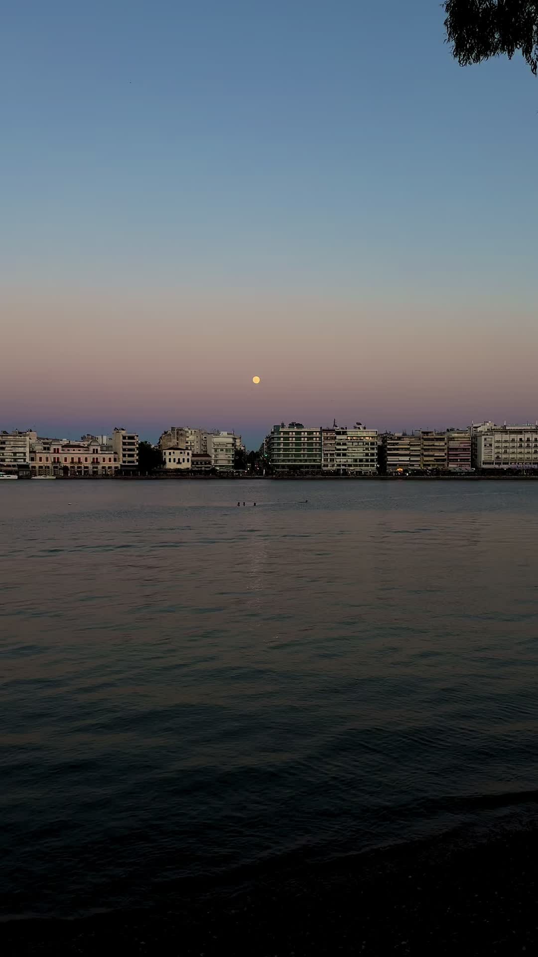 @Only Chalkida