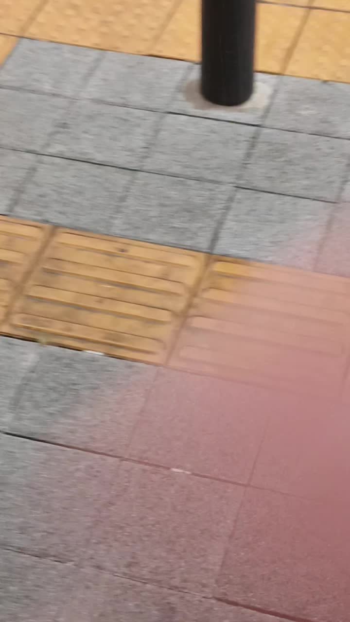 @마눌고양이개귀여워