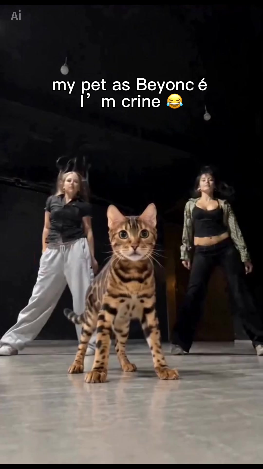 @Drew crazy cat guy