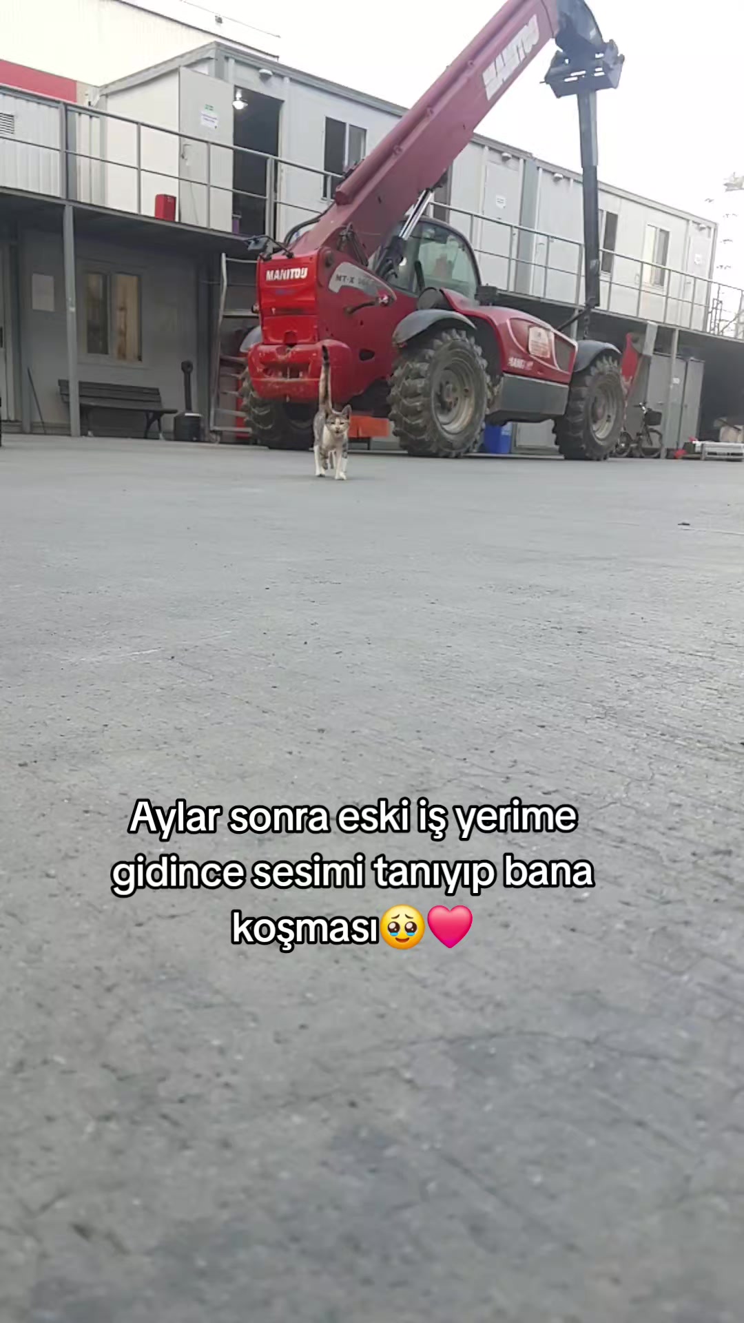 @kuzey