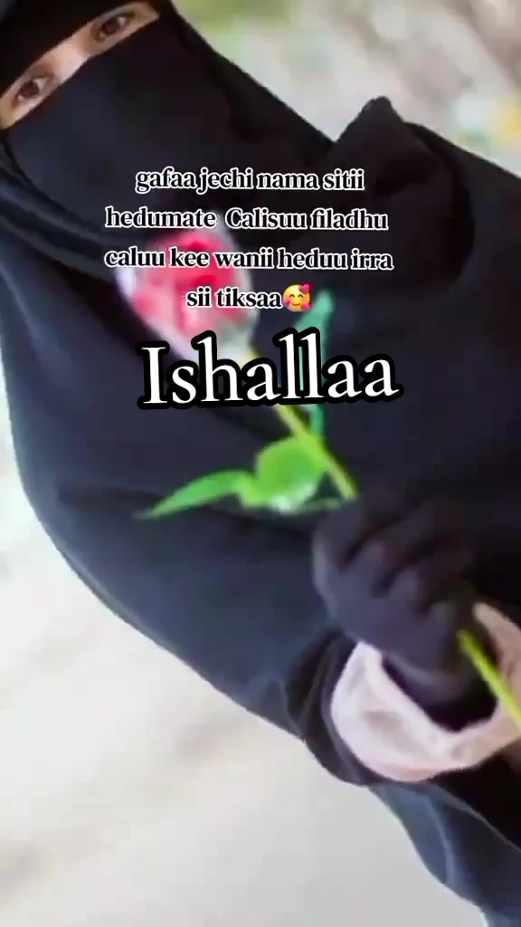 @obsee🇨🇦🇨🇦🫶