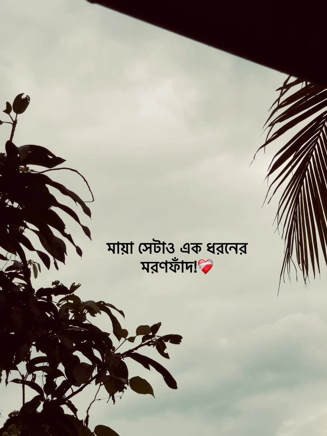 @Jit Baiddyađ§