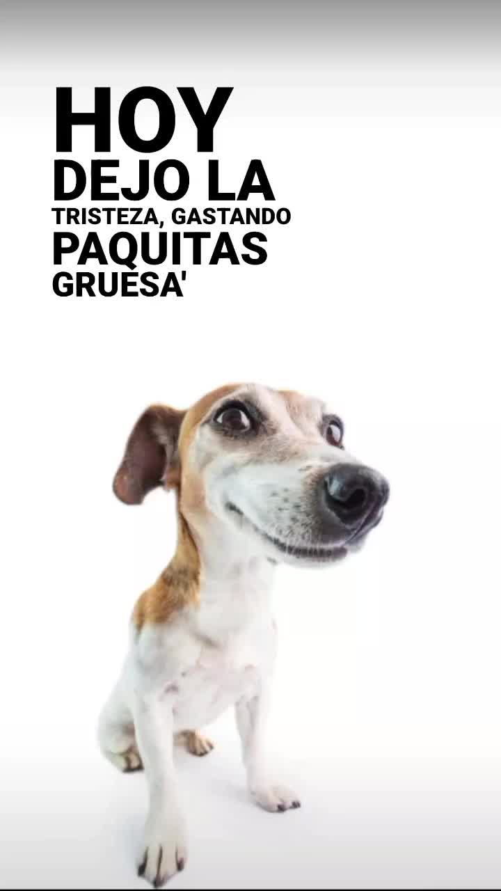 @Musica Indirecta