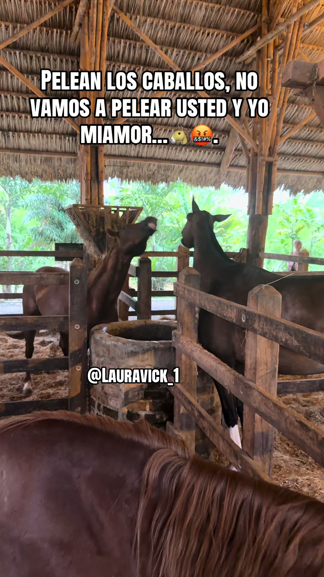 @lauravick_1