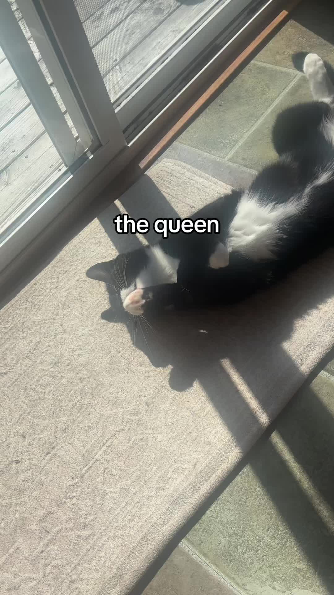 @kaseyharvie