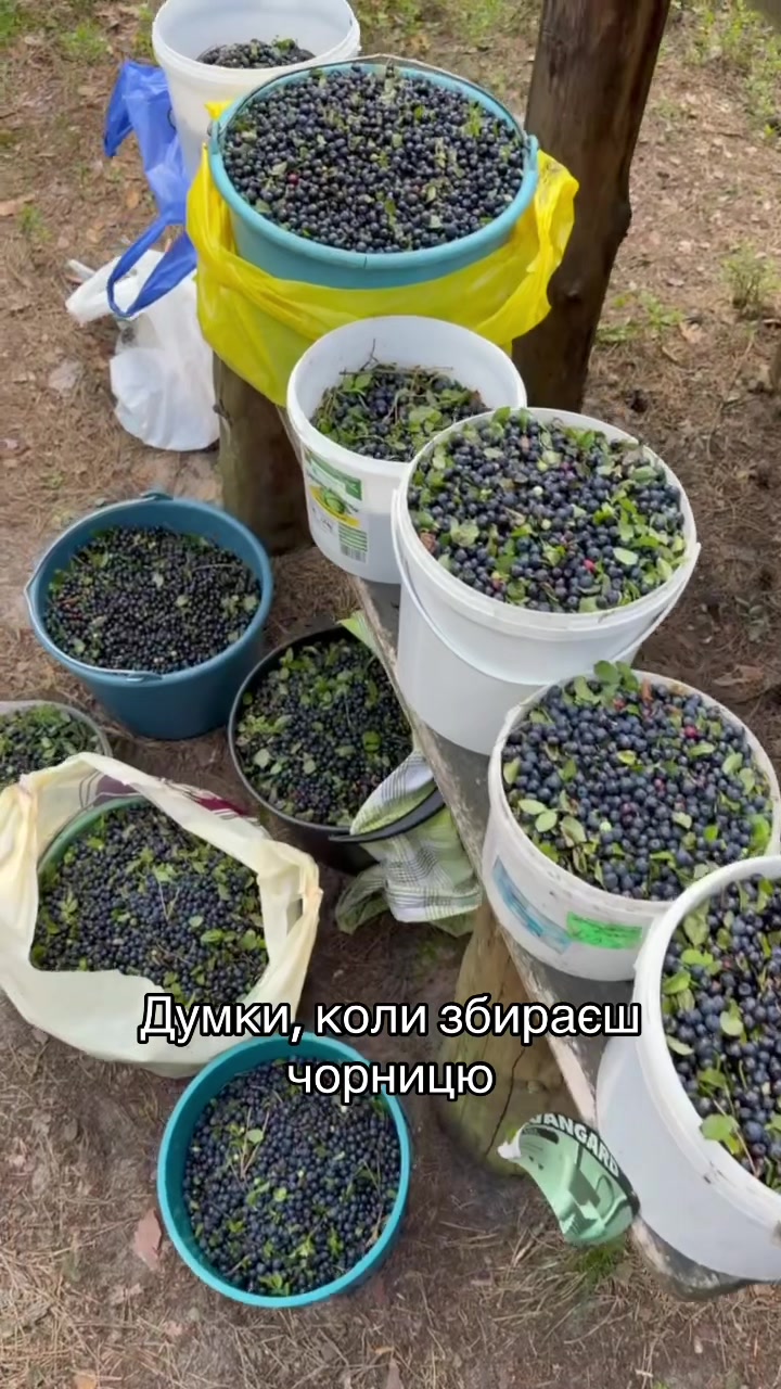 @Баняки