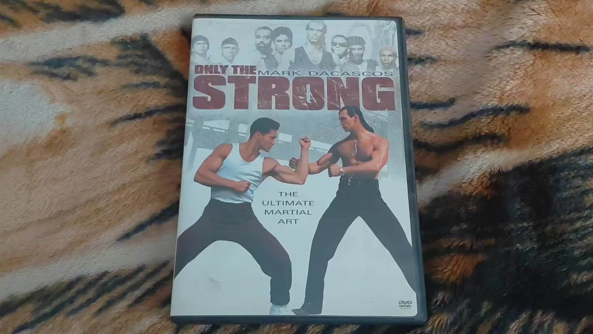 @Shyguyronski99