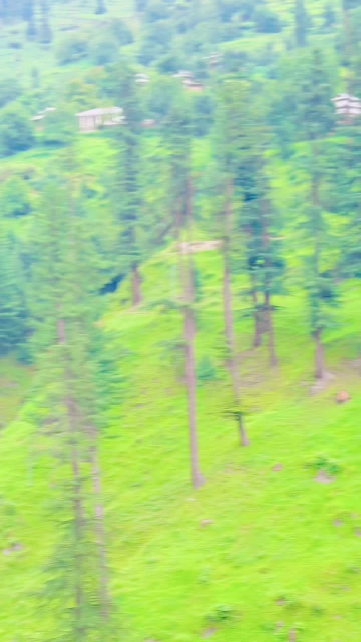 @منظر بلوچ جھنگ الہ ♧