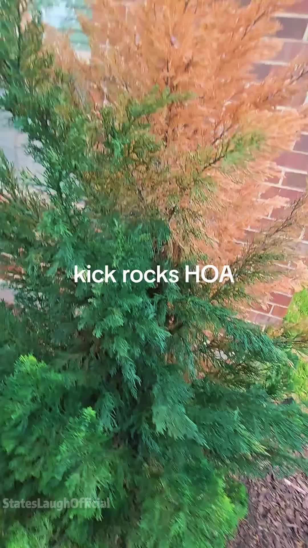 @stateslaughofficial