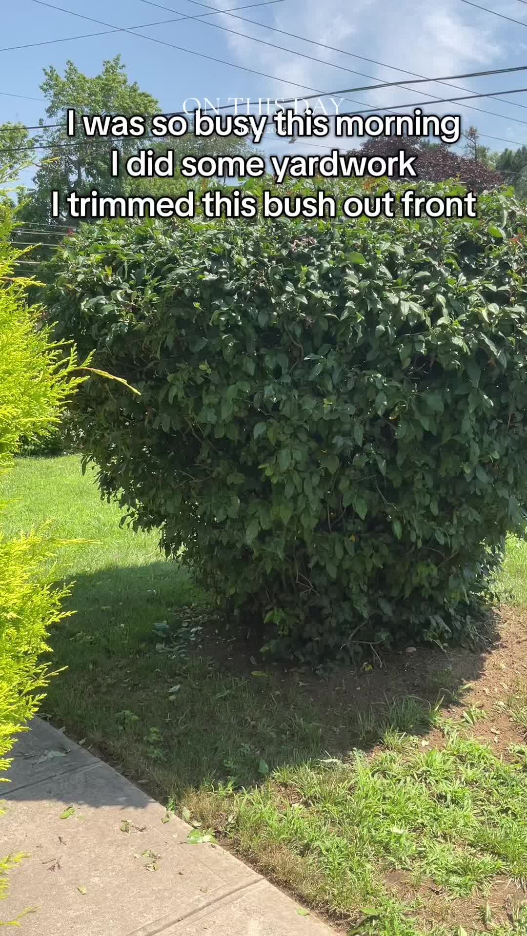 @JT