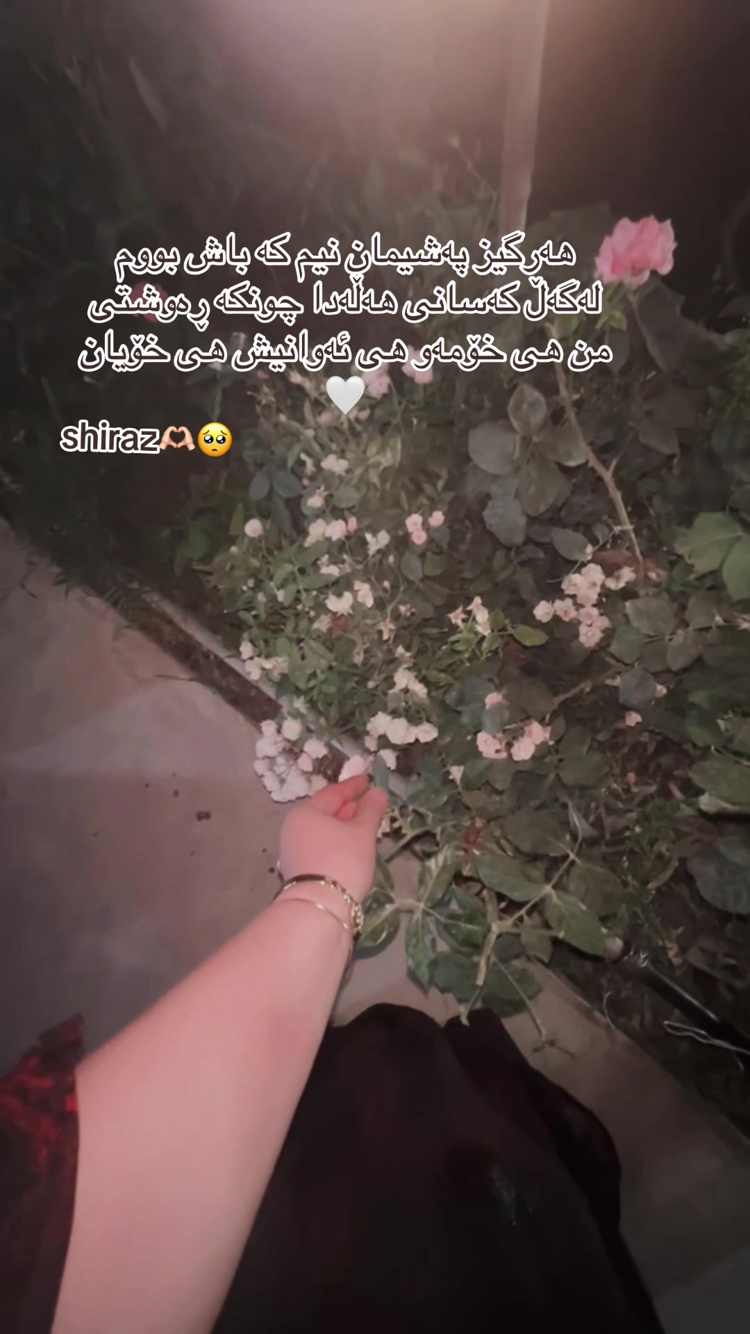 @Shiraz qaladzayنەوەی نوێ✌️🧡
