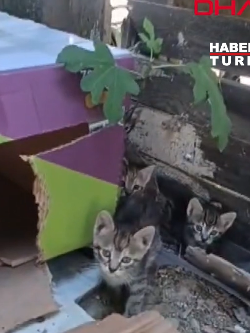 @Habertürk TV